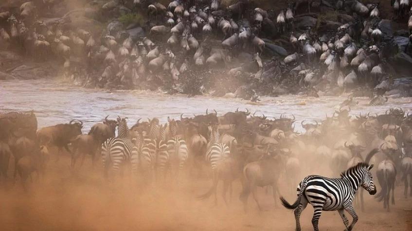 Tanzania