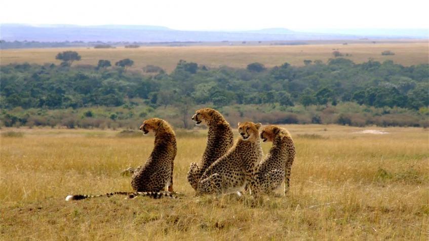 Kenya